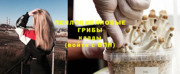 кокс Баксан